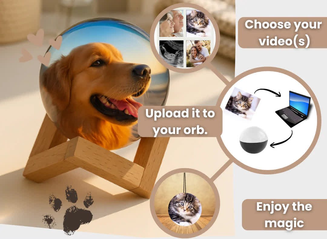 Choose your video, upload it to your orb, enjoy